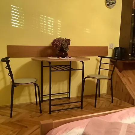 Tjasa Lejlighed Celje
