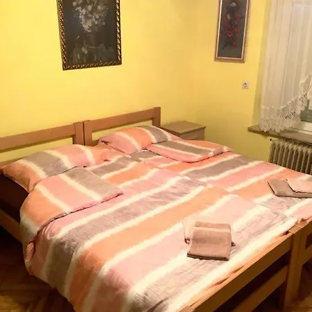 Tjasa Celje