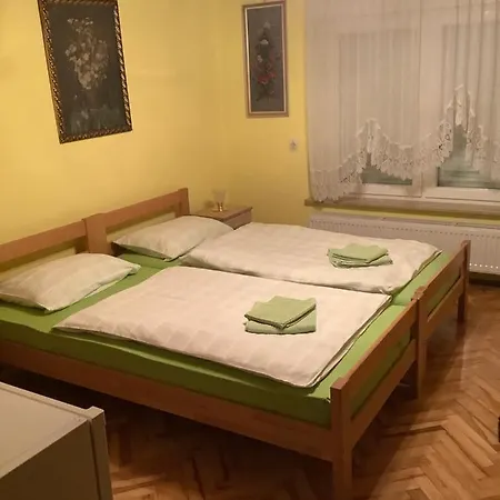 Tjasa Celje
